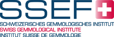 SSEF LOGO